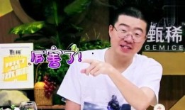 何炅老家爆料视频大全集,揭秘明星背后的温馨故事