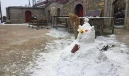 昆明爆料下雪视频最新版,网友视频记录冬日美景